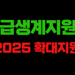 긴급 생계 지원금"